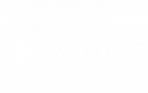 Logo audencia